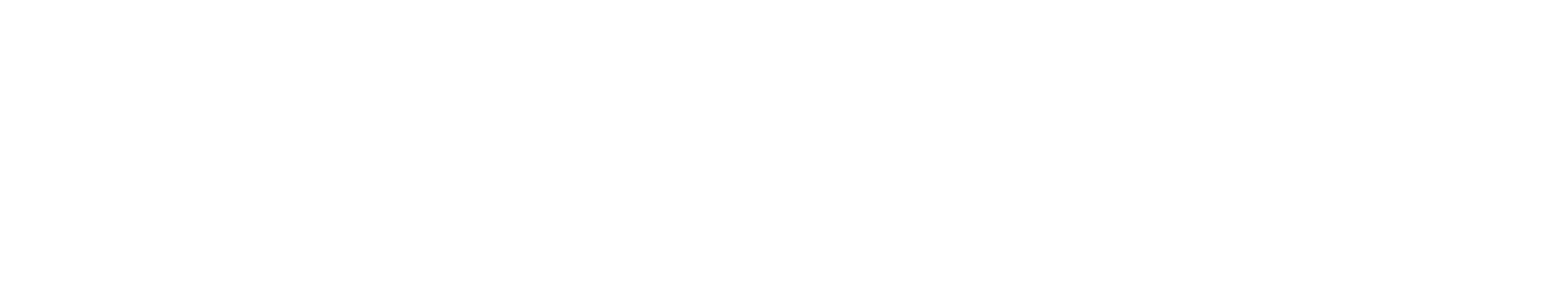 Softdelve logo featuring a stylized ‘S’ icon beside the word ‘Softdelve’ in bold white text with no background.